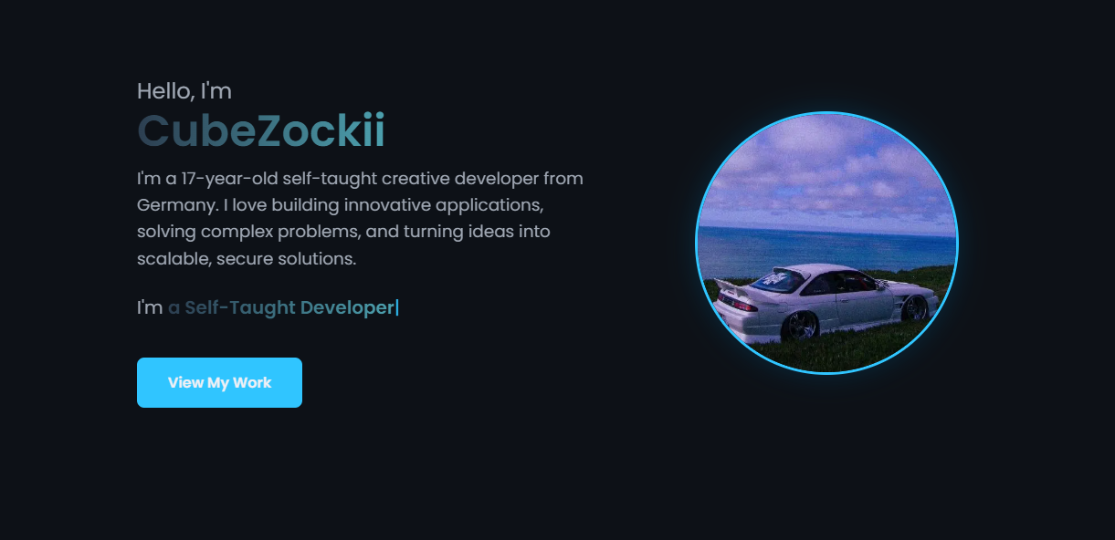Portfolio Landing Section